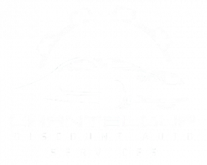 logo blanc sans fond